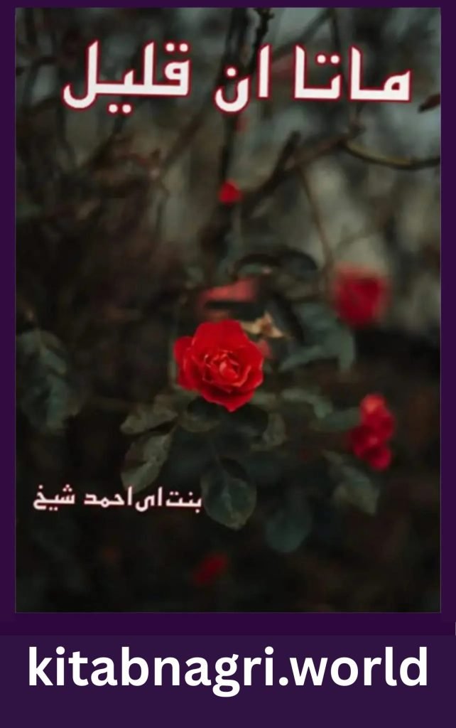 Mata Un Qaleel Novel By Bint E Ahmed